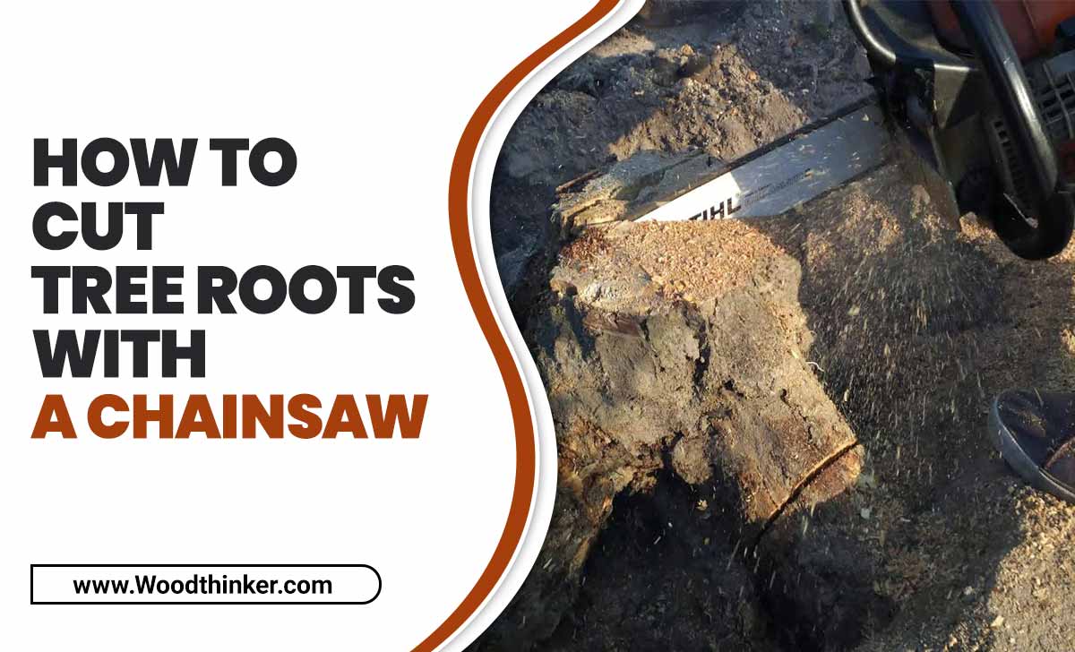 How To Cut Tree Roots With A Chainsaw