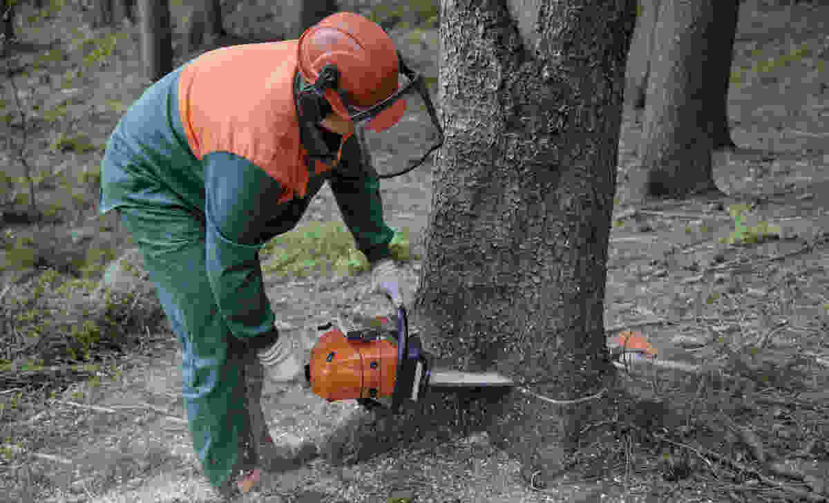 What If The Chainsaw Fails While You're Cutting Down The Tree